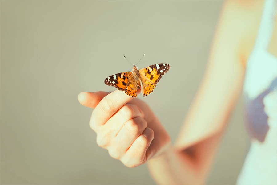 Быть естественным быть самим собой. На руку бабочка. Бабочка на ладони. Бабочка на пальце. Живая бабочка на руке.